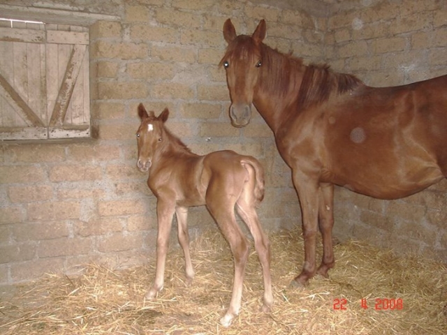  Mamá e hija 